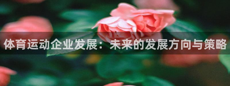 球客岛：体育运动企业发展：未来的发展方向与策略