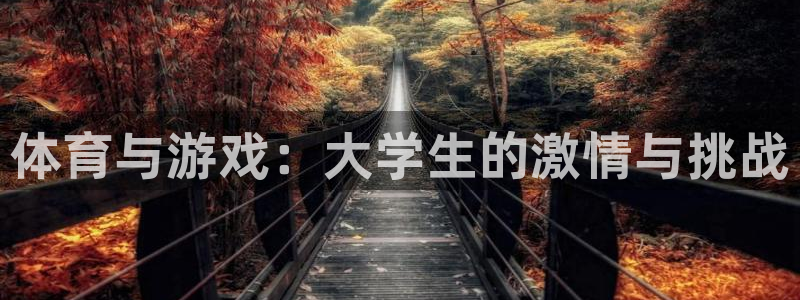 球客岛：体育与游戏：大学生的激情与挑战