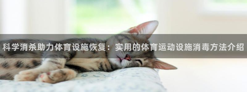 球客岛：科学消杀助力体育设施恢复：实用的体育运动设施消毒方法介绍