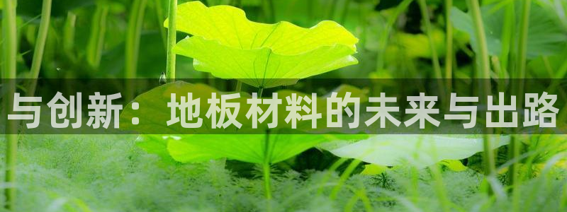 球客岛：与创新：地板材料的未来与出路