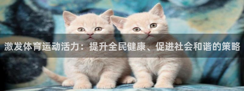 球客岛：激发体育运动活力：提升全民健康、促进社会和谐的策略