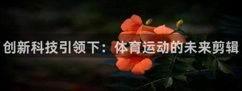 球客岛