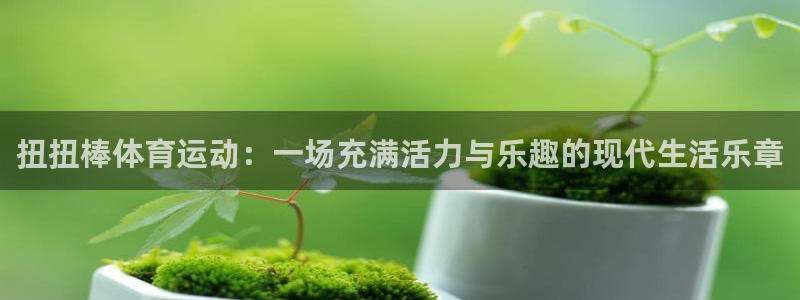 球客岛：扭扭棒体育运动：一场充满活力与乐趣的现代生活乐章