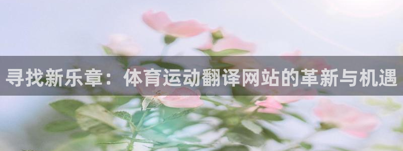 球客岛：寻找新乐章：体育运动翻译网站的革新与机遇