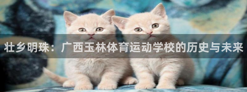 球客岛：壮乡明珠：广西玉林体育运动学校的历史与未来