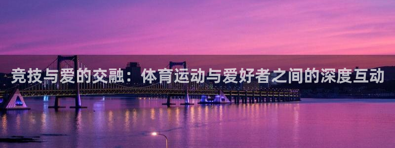 球客岛：竞技与爱的交融：体育运动与爱好者之间的深度互动