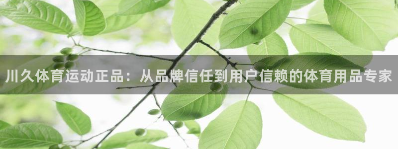 球客岛：川久体育运动正品：从品牌信任到用户信赖的体育用品专家